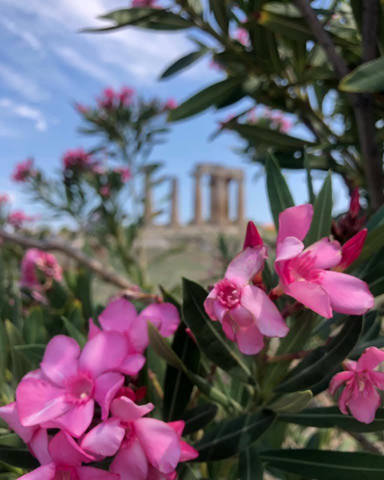 Αγίου Πνεύματος στην Αρχαία Κόρινθο – Ένα τριήμερο εκεί που η ιστορία «συναντά» τη φιλοξενία
