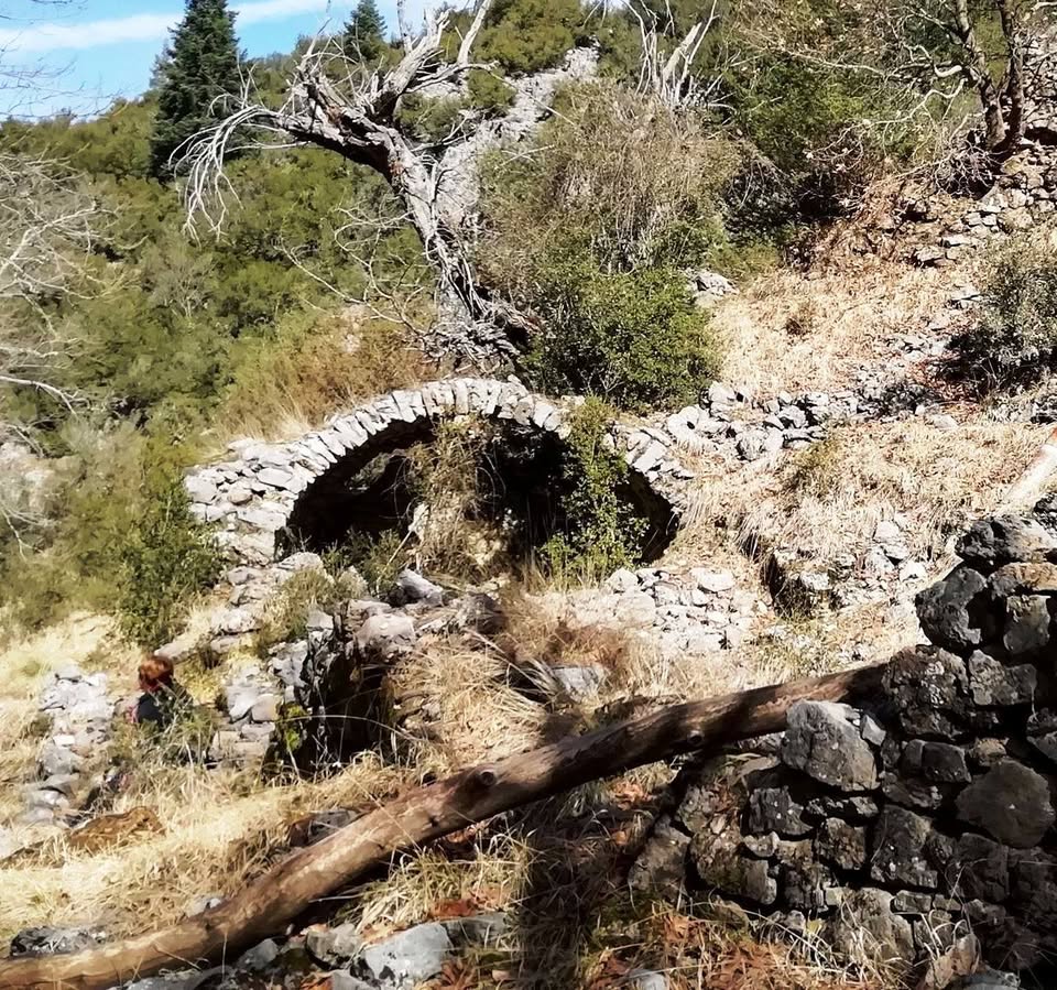 Οι Φευγάτοι - Εκτός Δρόμου εξόρμηση Ελάτη - Βυτίνα (μονοπάτι του Menalon Trail).