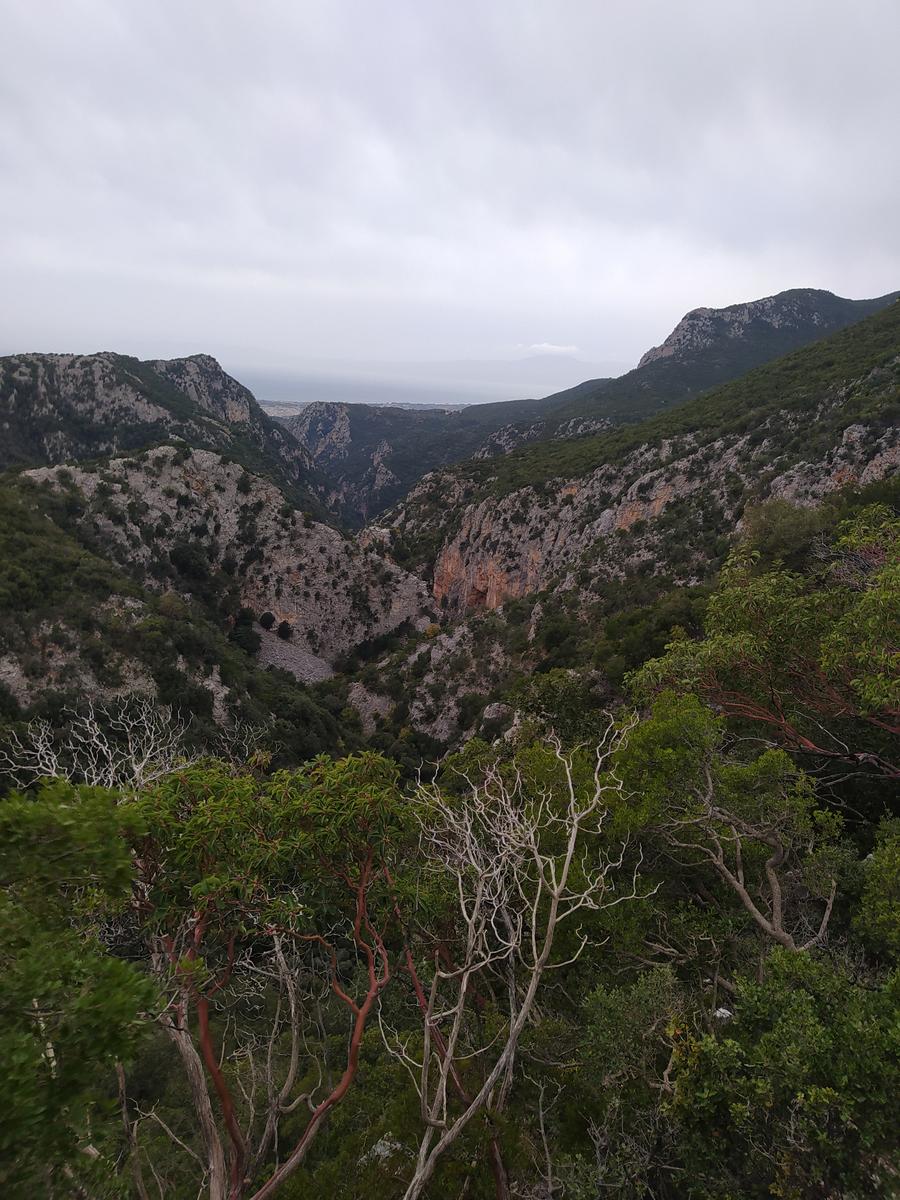 ΟΡΕΙΒΑΤΙΚΟΣ ΣΥΛΛΟΓΟΣ ΠΥΡΓΟΥ - εξόρμηση στον Ταΰγετο
