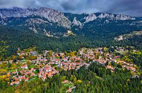 ΕΛΛΗΝΙΚΟΣ ΟΡΕΙΒΑΤΙΚΟΣ ΣΥΛΛΟΓΟΣ ΑΜΑΛΙΑΔΑΣ " ΟΡΕΙΒΑΤΕΙΝ " - Ελάτη -Βυτίνα