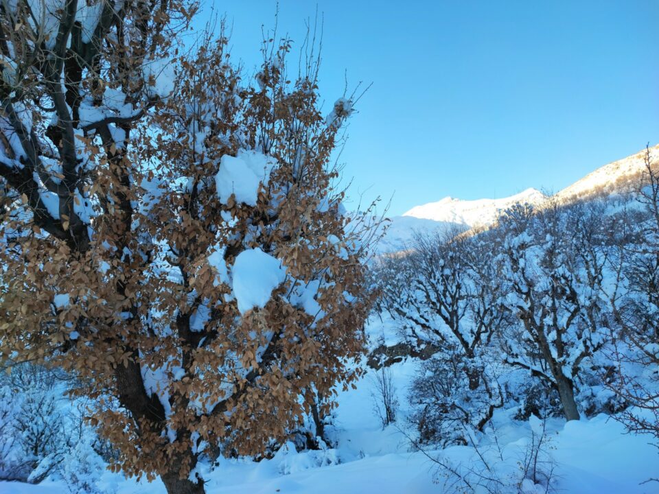 Πέντε προορισμοί στην Πελοπόννησο και τη Δυτική Ελλάδα για τις ημέρες των εορτών