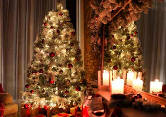 Τα ζώδια και οι γιορτές: Το χριστουγεννιάτικο δέντρο που ταιριάζει σε κάθε ζώδιο!  